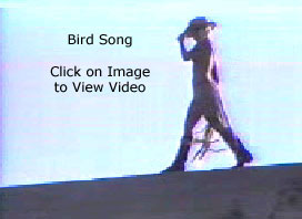 Doran Kidd in Bird Song